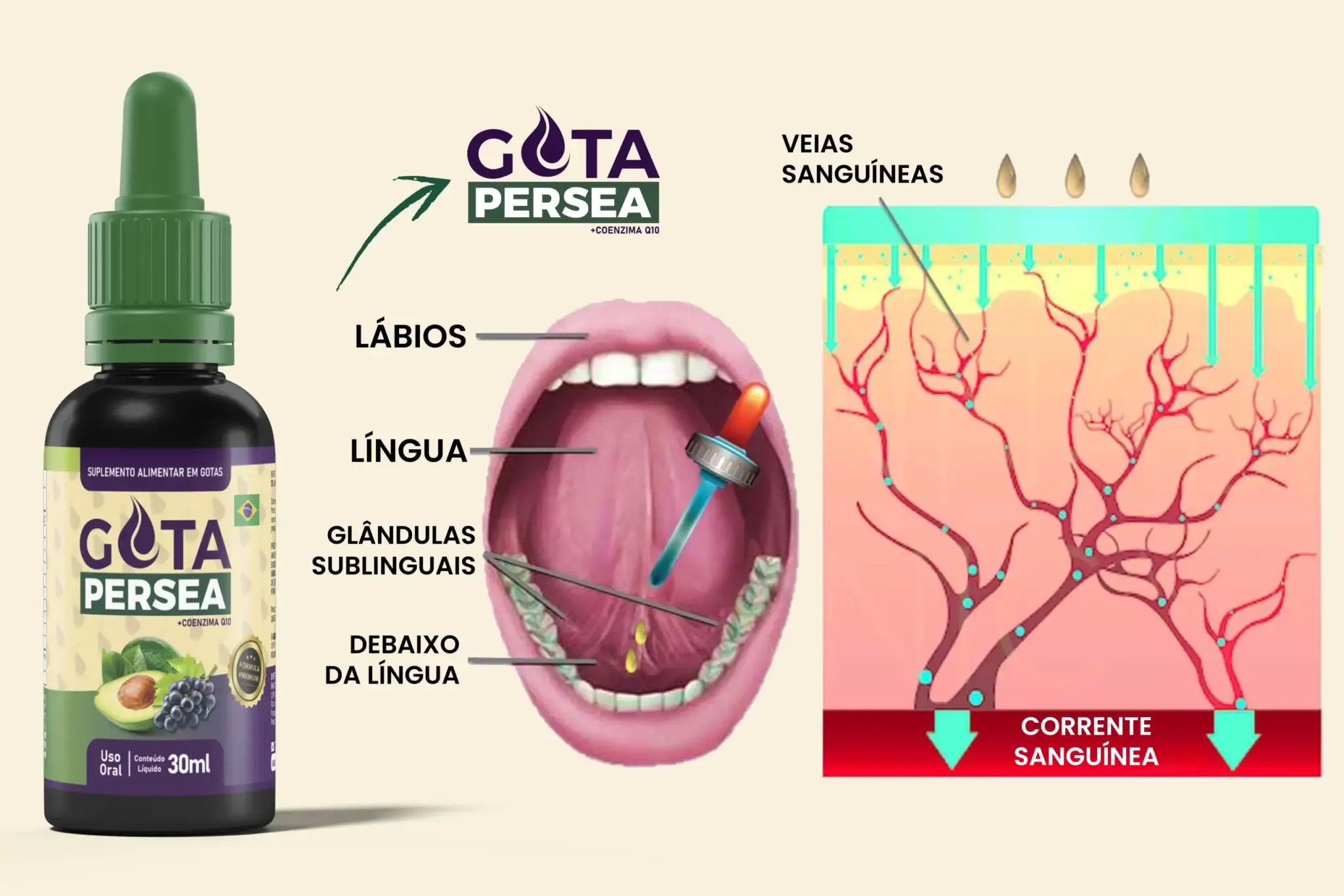 Segredo da fórmula americana do Gota Persea Premium — absorção sublingual